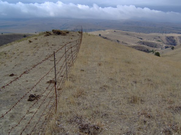 2006 10 01 - Soil Development - First Year after Fencing - Livestock Deserted on outside and Grown Wild Grass inside the Fence - 2006_595 2006 10 01 - Soil Development - First Year after Fencing - Livestock Deserted on outside and Grown Wild Grass inside the Fence - 2006_595