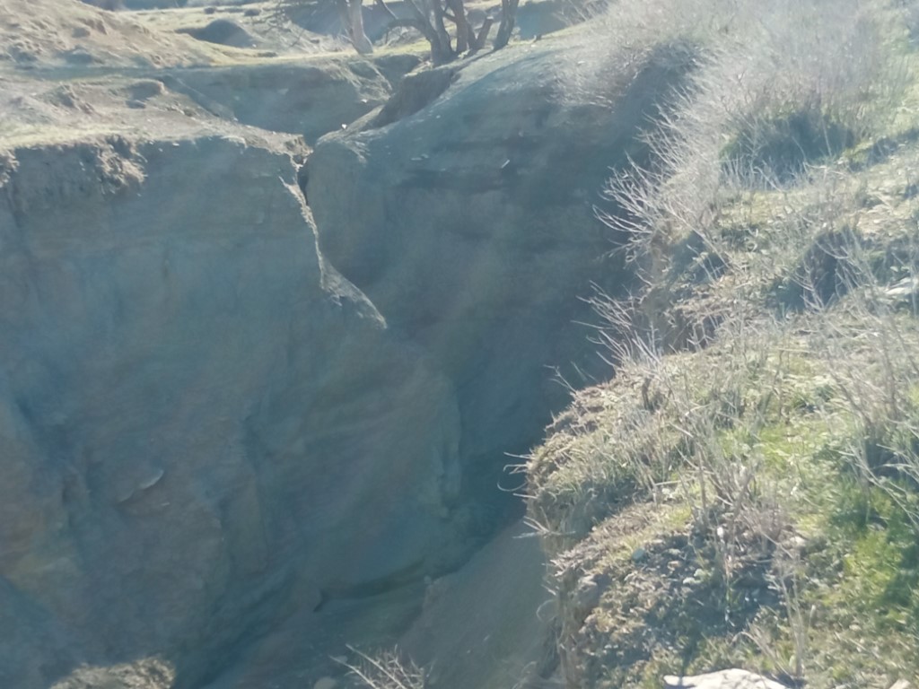 1648631203209