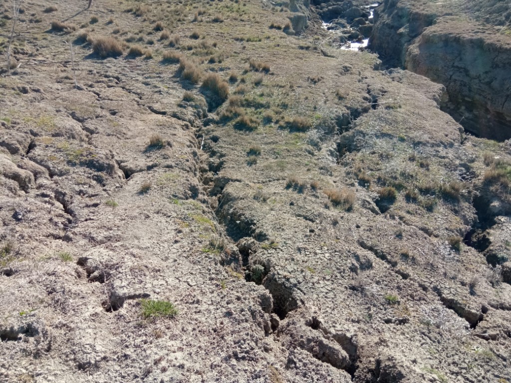 1648631203134